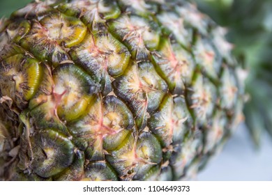 close up pineapple,Organic pineapple texture background.Selection focus only on some points in the image.