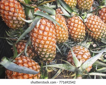 Close up of pineapples