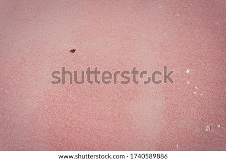 close up of pink beach sand