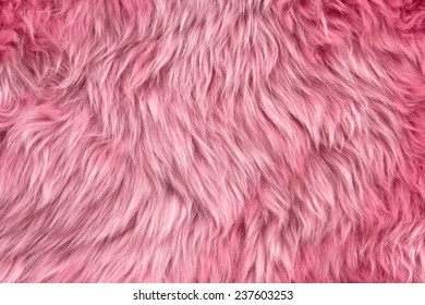 Close up of a pink dyed sheepskin rug as a background