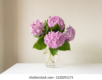 Close Up Of Pink Hydrangea Flowers In Glass Vase On White Table Against Neutral Wall Background (selective Focus)