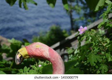 Close Up Of A Pink Lawn Flamingo