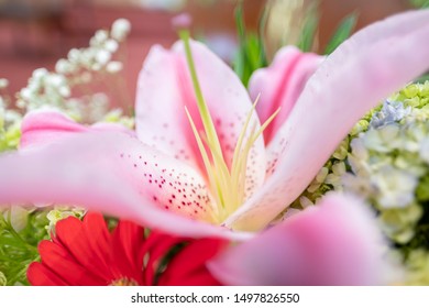 A close up of pink lilly (pink casablanca) and tone color. Bunch of flower as background. 