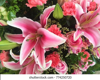 Close up of pink lily flowers around by roses, carnation flowers and green leaves
