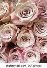 Close up of pink roses bouquet - Shutterstock ID 254389105