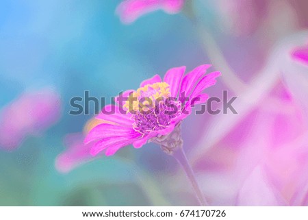 Similar – Image, Stock Photo teletom magenta