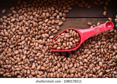 Close Up Of Pinto Bean For Background 