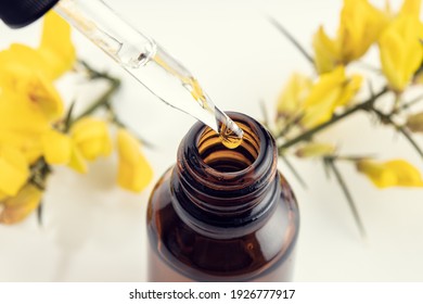 Close up of a pipette, amber bottle and yellow flower branch at background. Gorse essential oil. Herbal essence Aromatherapy - Shutterstock ID 1926777917
