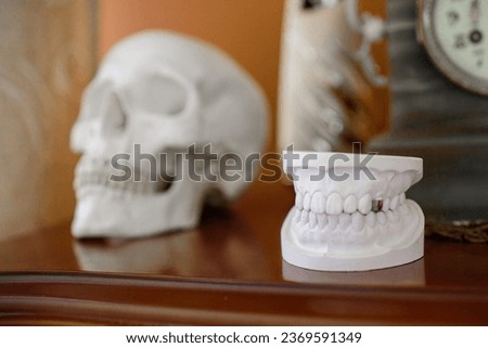 Close up plaster model of teeth. Dentistry, dental care. Low depth of field. An old clock, a skull and a plaster model of teeth on a shelf. Remember about death.