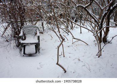 Close Up Of A Plastic Chair Covered In Snow Standing In The Bushes. Winter In Poland, Europe