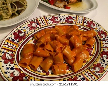 Close Up Plate Of Rigatoni Pasta In Vodka Sauce