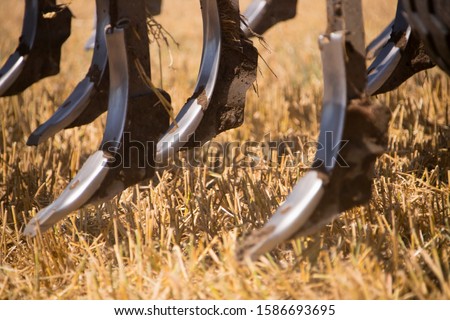 Similar – Image, Stock Photo stubble field Landscape