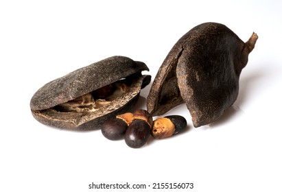 Close Pod Seed Afzelia Doussie Makha Stock Photo 2155156073 | Shutterstock