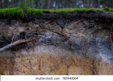close up of podzol soil with visible layers on sands