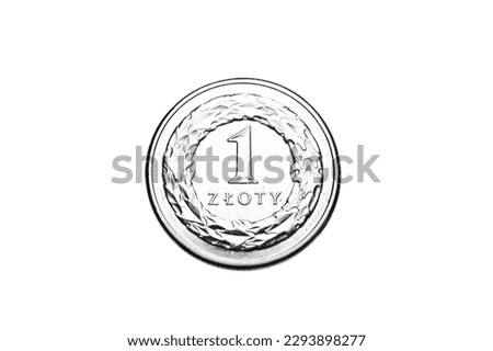 Close Up of Polish Zloty Coin Isolated on White Background. PLN Currency . 