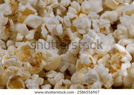 Close up of popcorn kernels