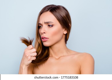 Close Up Portrait Of Attractive Pretty Brown Haired She Her Girl Displeased With Hair Ends Need To Do Haircut Cut Off Bad Ends Dyeing Not Dressed Isolated On Grey Background