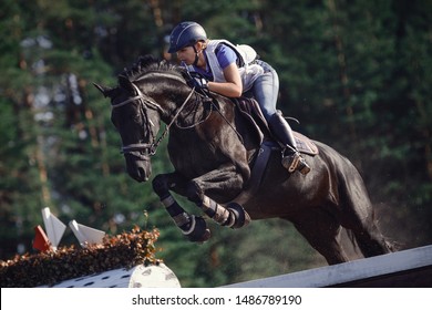 Close Portrait Of Attractive Rider Woman Jumping Over Obstacle On Black Horse During Eventing Cross Country Competition In Summer