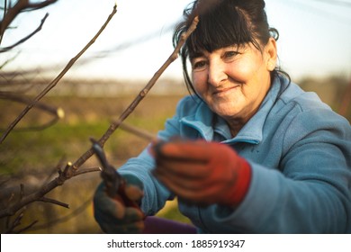 Close Up Portrait Of Beautiful Happy Older Woman While She Is Gardening Smiling And Standing Outside During Sunset. Wind Blows Her Hair. Beautiful Sunset Day