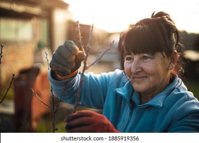 Close Up Portrait Of Beautiful Happy Older Woman While She Is Gardening Smiling And Standing Outside During Sunset. Wind Blows Her Hair. Beautiful Sunset Day