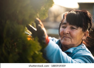 Close Up Portrait Of Beautiful Happy Older Woman While She Is Gardening Smiling And Standing Outside During Sunset. Wind Blows Her Hair. Beautiful Sunset Day