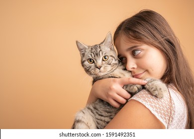 Close up portrait of the beautiful little girl with brunette loose hair the hugging her grey cat, isolated over orange background, studio photo