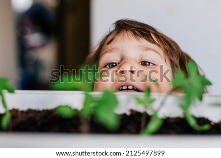 Close up portrait of caucasian girl looking with interest at green tomato sprouts growing in flowerpot. Horizontal shot front view selective focus on eyes. Home gardenning eco concept