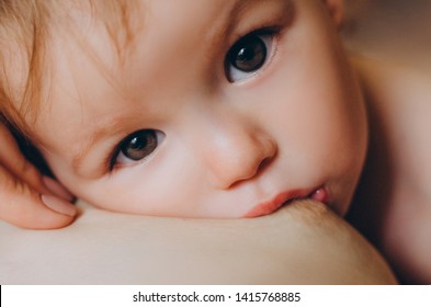 close up portrait of a child who sucks the milk from mother breast. Female breastfeeding her little daughter in her arms.  selective focus, noise effect