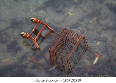 Close Up Portrait Of The Discarded Rusty Shopping Cart Thrown And Half Drown Into Natural Sea. Concept Of Over Consumption And Consumerism To The Environment 