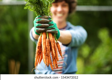 Close up portrait gardener with bunch of carrots in hand in garden - Powered by Shutterstock