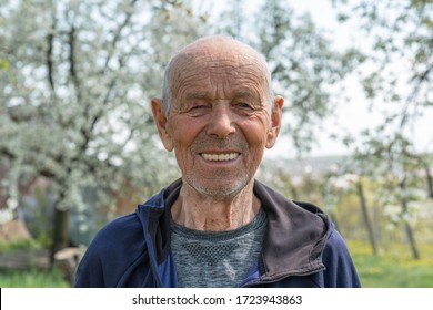 Close Up Portrait Of A Happy Old Man Pensioner In Sportswear Who Smiling And Looking At The Camera, Blooming Blurred Trees On The Background