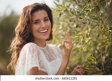 Close up portrait of happy young woman plucking olives at farm - Powered by Shutterstock