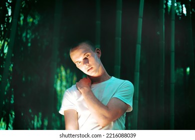 Close Portrait Of Model Guy With Beautiful Bright Orange Light On His Face Against The Backdrop Of Bamboo Forest