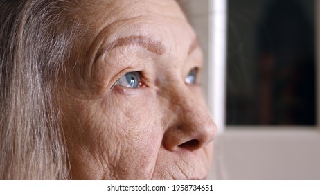 Close Up Portrait Of Sad Senior Woman With Blue Eyes Gray Hair And Wrinkled Skin. High Quality Photo