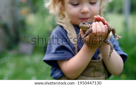 Similar – Foto Bild froschgrün Umwelt Natur