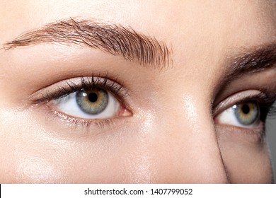 Close Up Portrait Of Tender Gorgeous Female Green Eyes. Young Woman With Natural Clean Skin And Well-favoured Eyebrows. Beauty And Skincare Concept