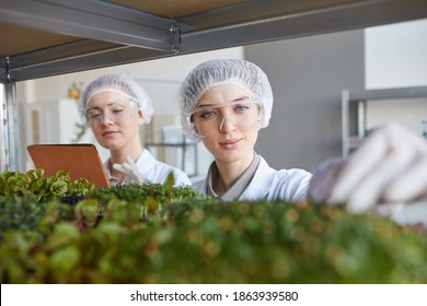 Close Up Portrait Of Two Female Scientists Examining Plant Samples While Working In Biotechnology Lab, Copy Space