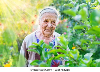 Close up portrait of a very old wrinkled woman of eighty or ninety years old, looking down, staying in her garden. Old age and lifestyle concept. Aging process.