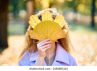 Close portrait of woman with yellow leaf in hand covering her face on fall nature background