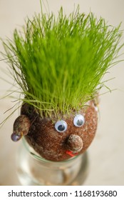 Close up portraitof happy grass growing head
