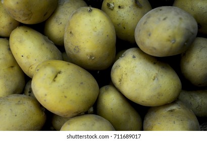 close up potatoes .selective focus