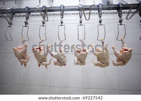 Similar – Image, Stock Photo meat processing Food Meat