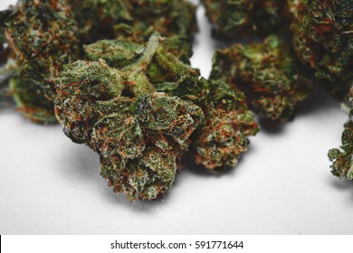Close up of prescription medical marijuana buds OG Kush strain