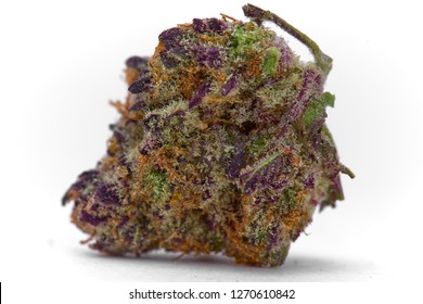 Close up of prescription medical marijuana and recreational weed hybrid strain sticky flower bud isolated on a white background