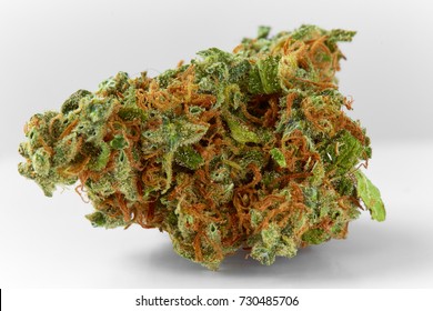 Close up of prescription medical marijuana strain Supreme Jack isolated on white background