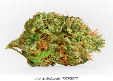 Close up prescription medical marijuana strain AK-47 strain on white background