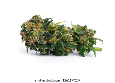 Close up  prescription and recreational medical marijuana flower bud isolated on white background