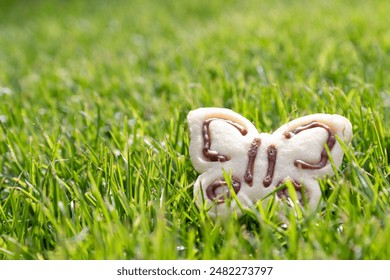 Close up of a pretty assortment of delicious cookies on green grass - Powered by Shutterstock