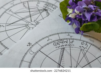 Close up of printed natal charts with astrology moon, purple and white violets in the background, spring concept - Shutterstock ID 2276824211