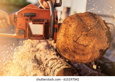 Close up professional chainsaw cuts firewoods. - Shutterstock ID 615197042